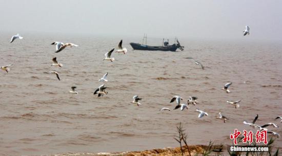 生态环境部:启动渤海地区入海排污口排查整治工作