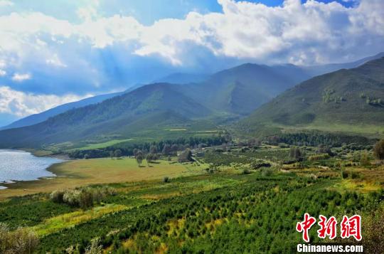 青藏高原第一大城：全城绿化量质并举