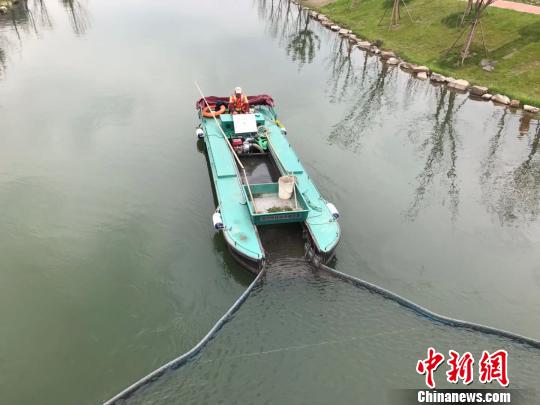 上海2020年力争全面消除劣V类水体 