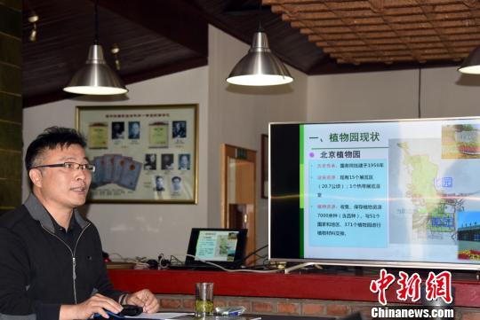 北京最古老植物温室即将全新开放 首展4种猴面包树