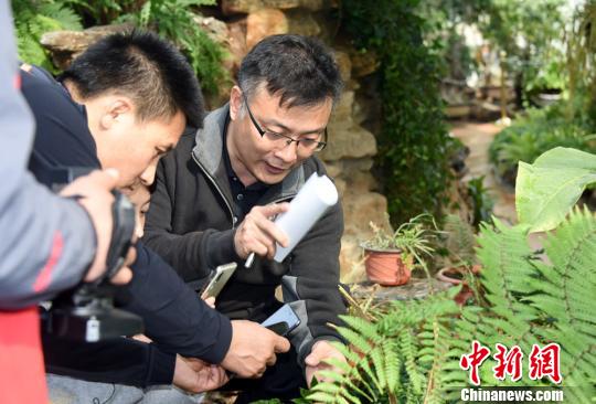 北京最古老植物温室即将全新开放 首展4种猴面包树