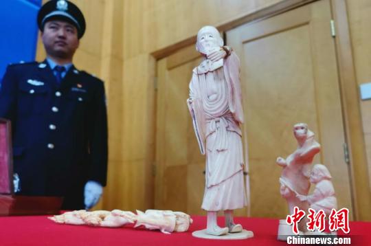杭州海关今年来查获走私濒危物种33公斤