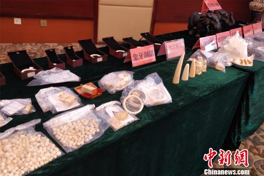 南昌海关严打象牙等濒危物种及其制品走私犯罪行为