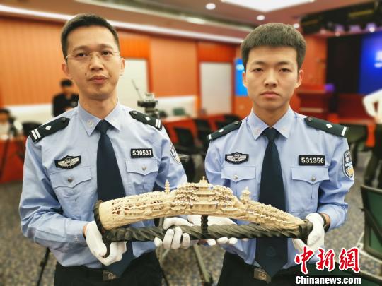 深圳海关破获走私象牙等濒危物种209千克案