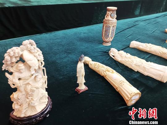 深圳海关破获走私象牙等濒危物种209千克案