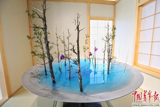以花之名nbsp;遇见世界之美