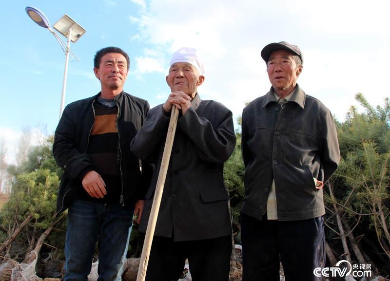 探寻榆林治沙成功秘诀
