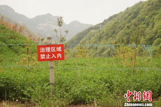 河南小秦岭三年生态“保卫战”