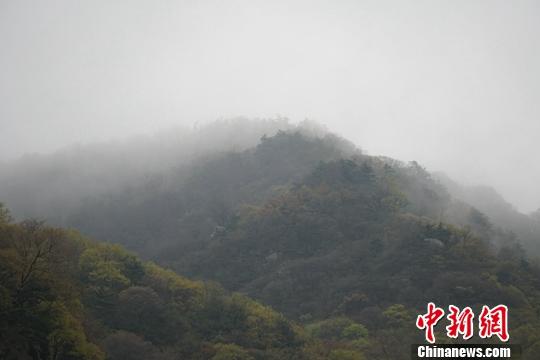 河南小秦岭三年生态“保卫战”