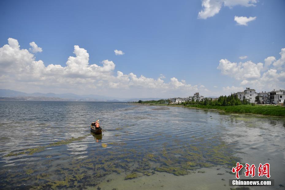 云南大理洱海保护治理见成效