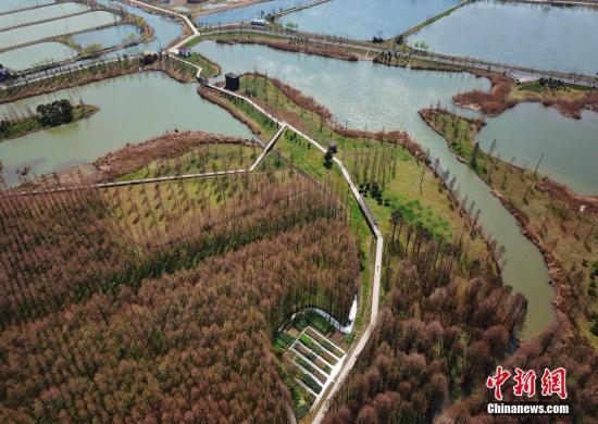 广州“河长制”见成效 水环境质量明显改善