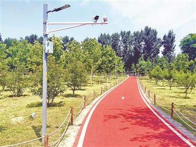 北京大兴区今年建三大城市森林
